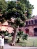 RedFort_Agra_2